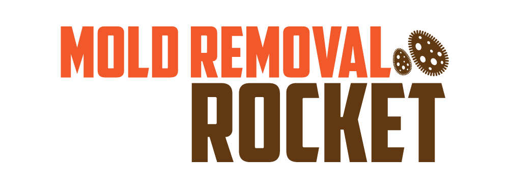 Mold Removal Rocket